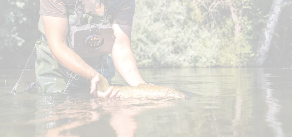 How can we reconcile leisure activities with environmental protection?