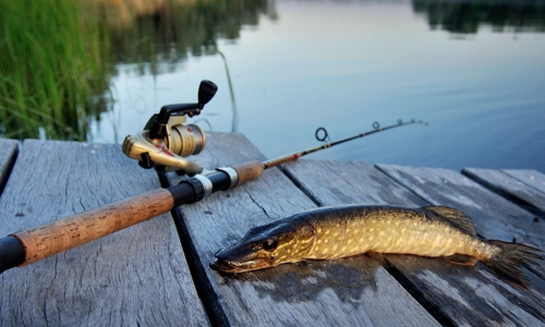 Line fishing