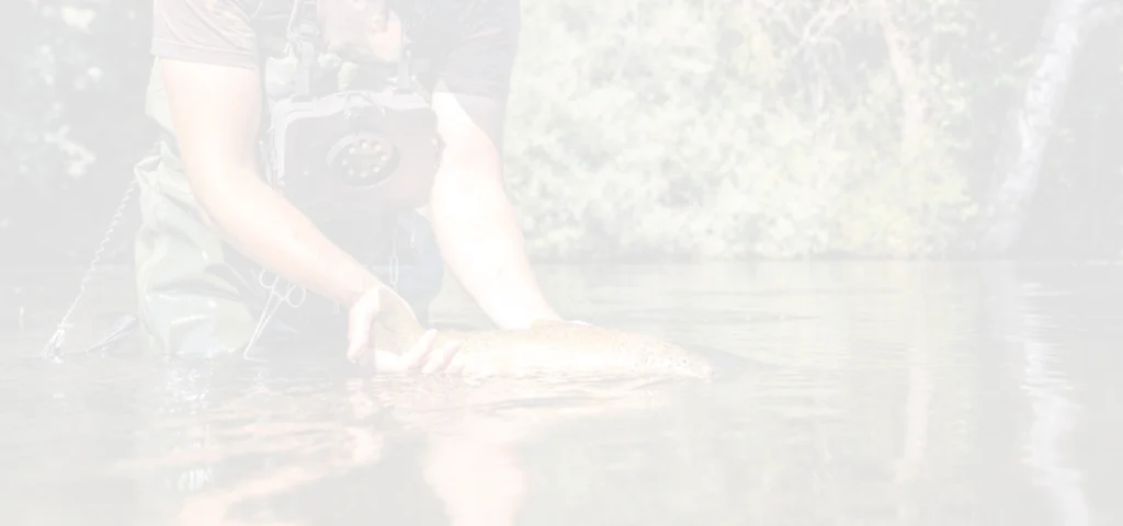 How-can-we-reconcile-leisure-activities-with-environmental-1